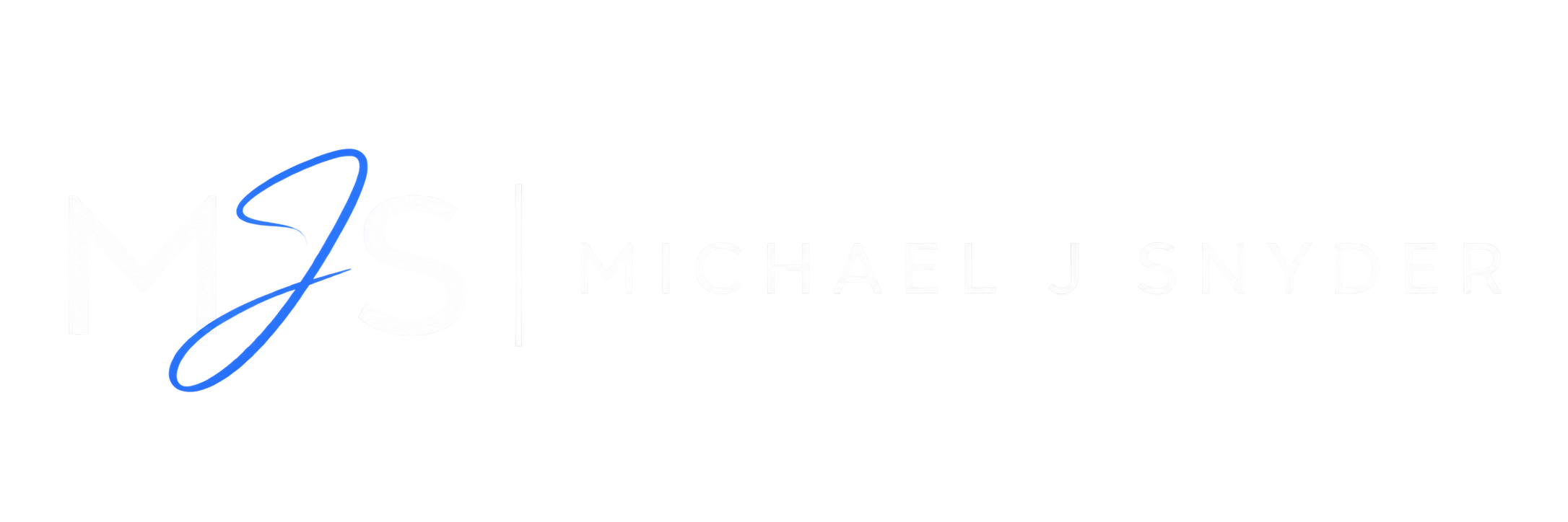 Mike Snyder | Technology Executive